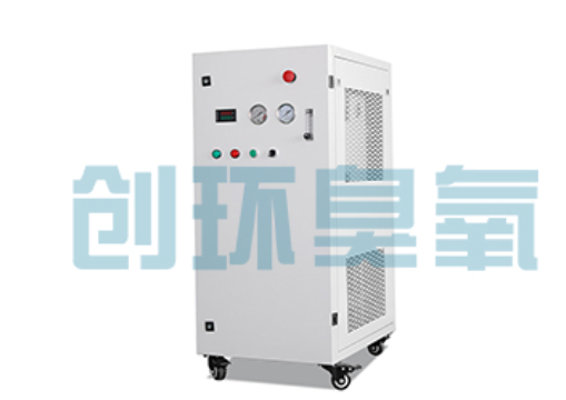 广州石斑鱼养殖水质调控完整指南：臭氧发生器配置与操作步骤