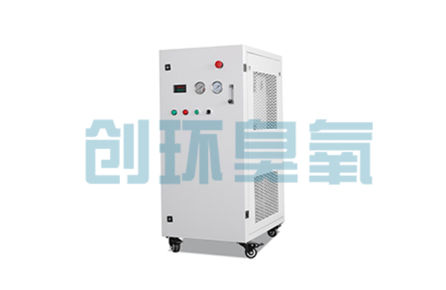 广州比传统换水更高效？臭氧发生器在石斑鱼养殖中的水质净化原理解析